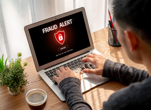 Understanding and Preventing Fraud